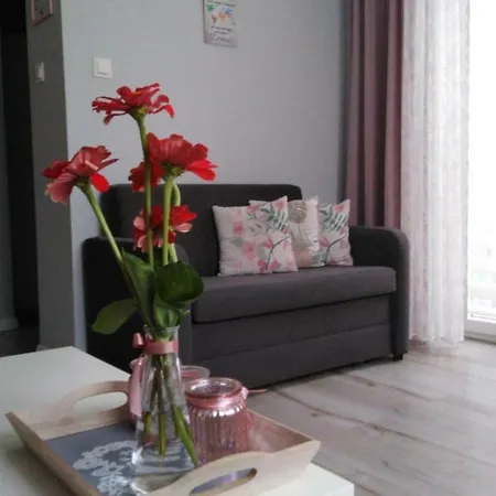 Apartament Antek klimatyzowany Oświęcim Zewnętrze zdjęcie