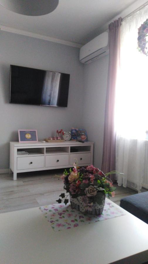 Antek Klimatyzowany Apartment *