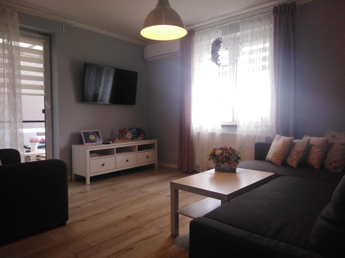 Antek Klimatyzowany Apartment Oswiecim